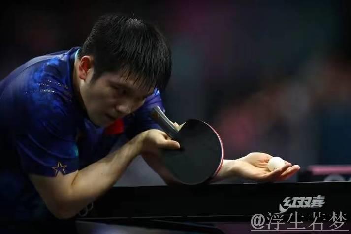 张本智和难得一笑!赛后用中文发言引欢呼,再次提及樊振东 张本智和难得一笑!赛后用中文发言引欢呼,再次提及樊振东